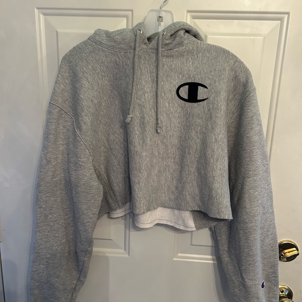 Champion gray cropped hoodie. SF home. Worn once. Great condition.